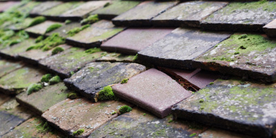 Farcet roof repair costs